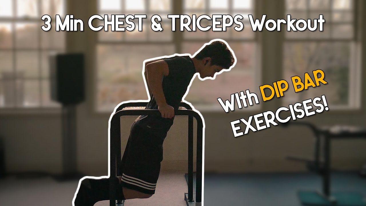 3 Minute CHEST & TRICEPS Workout With Dip Bars!