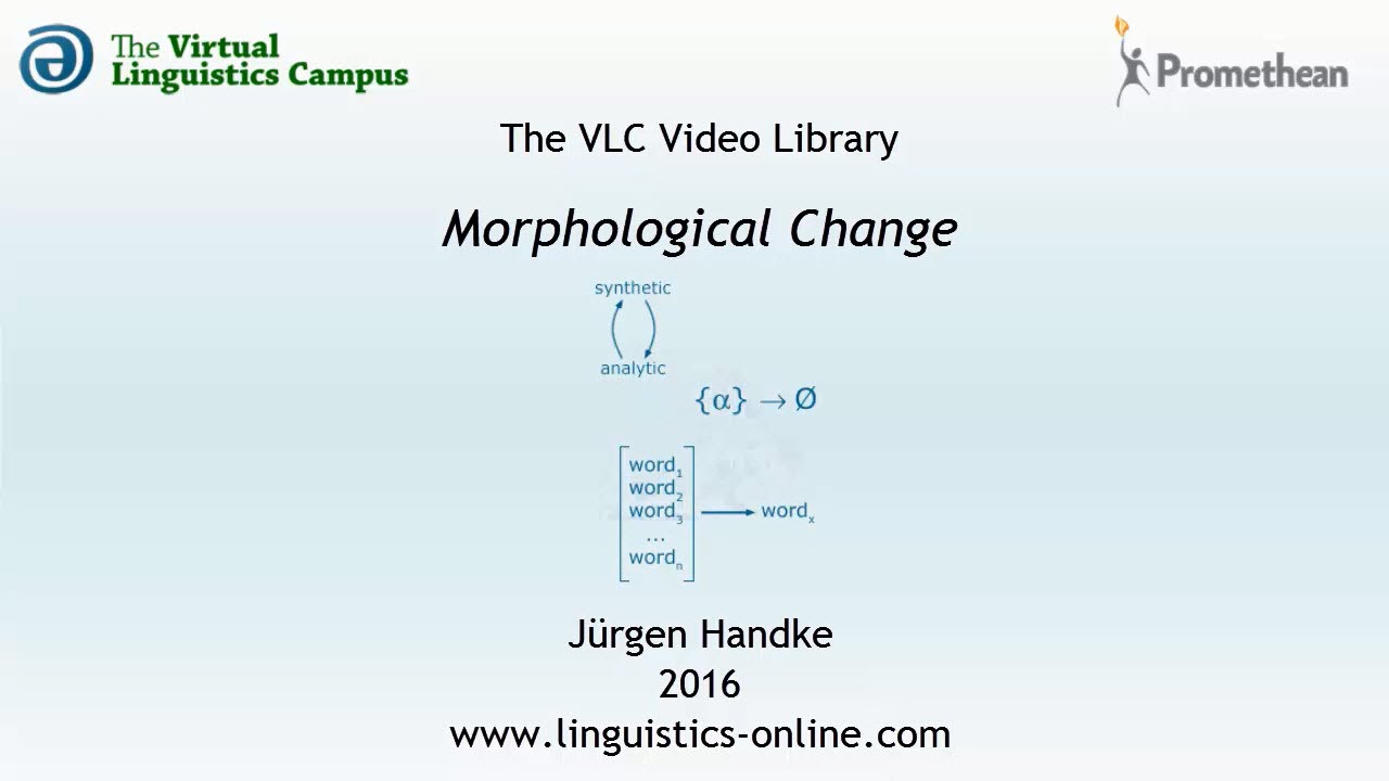 TYP106 - Morphological Change
