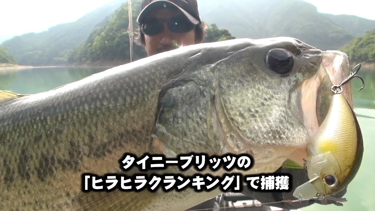 並木敏成クランク実釣LIVE(2/6)-第２章ヒラヒラクランキングの威力