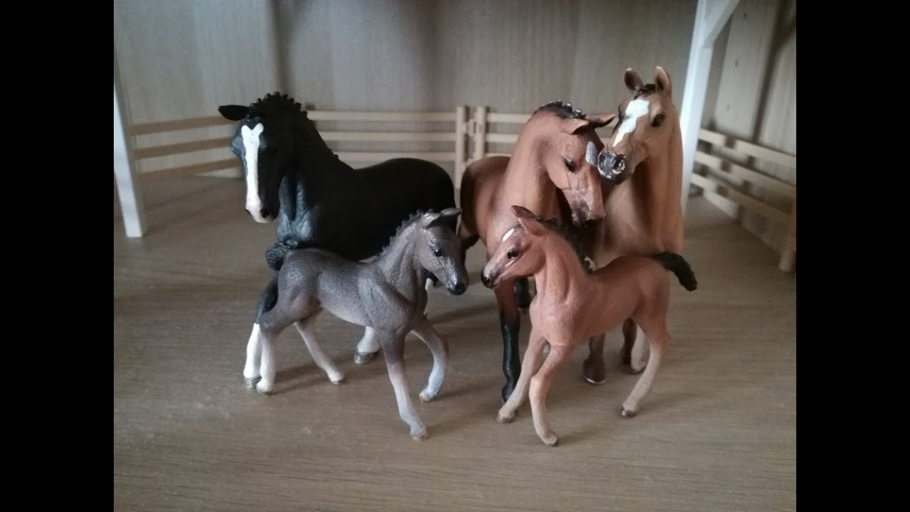 Poslední šance 5. ( Velký závod )