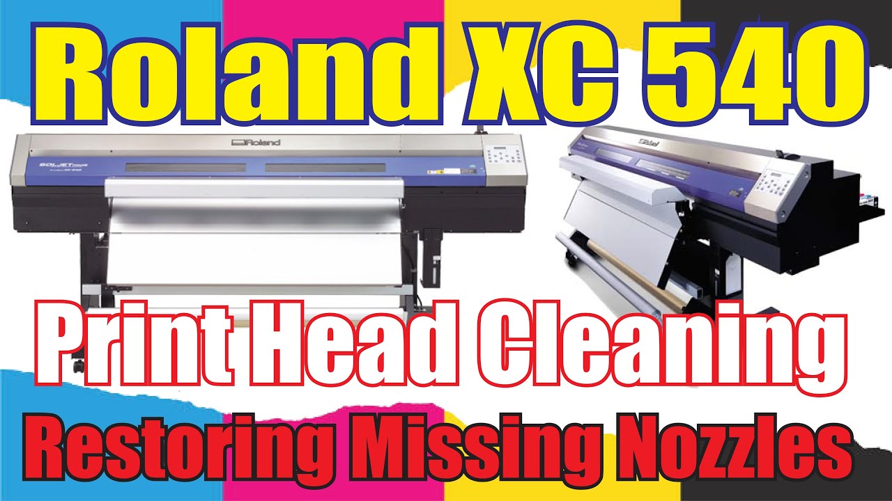 Roland XC 540 Print Head Cleaning Restoring Missing Nozzles