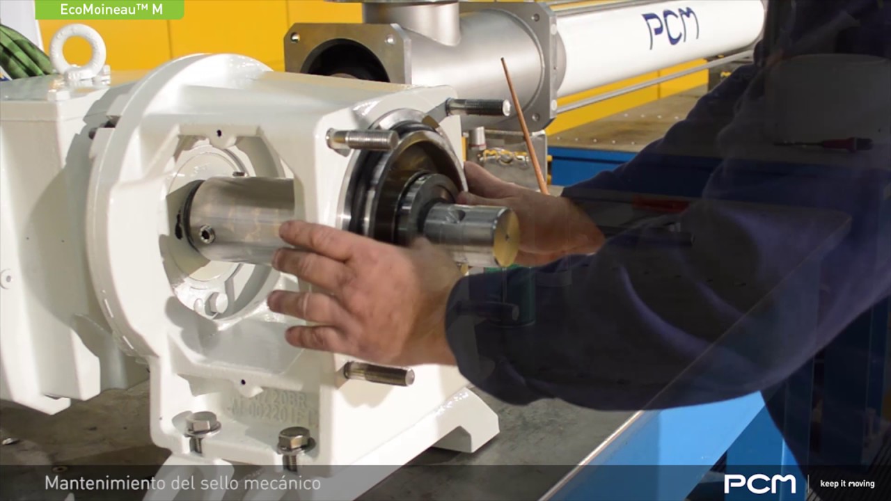 PCM EcoMoineau™ C8 Bomba - Mantenimiento del sello mecánico - Español