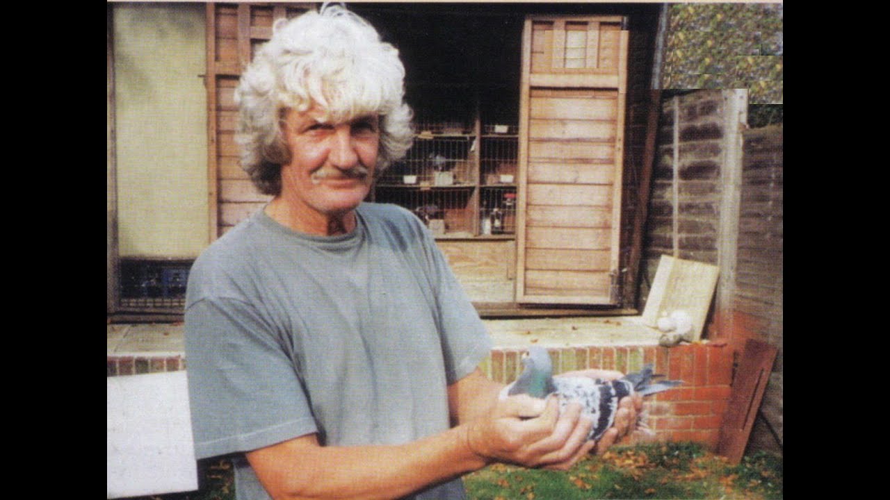Video 281: Eddie Upton of Newbury: Premier Pigeon Racer