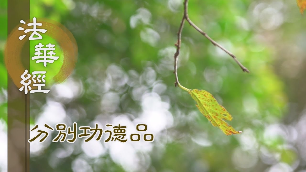 【靜思妙蓮華】法華經 分別功德品 - 心性本淨 諸過染垢 - 20240219 第1614集