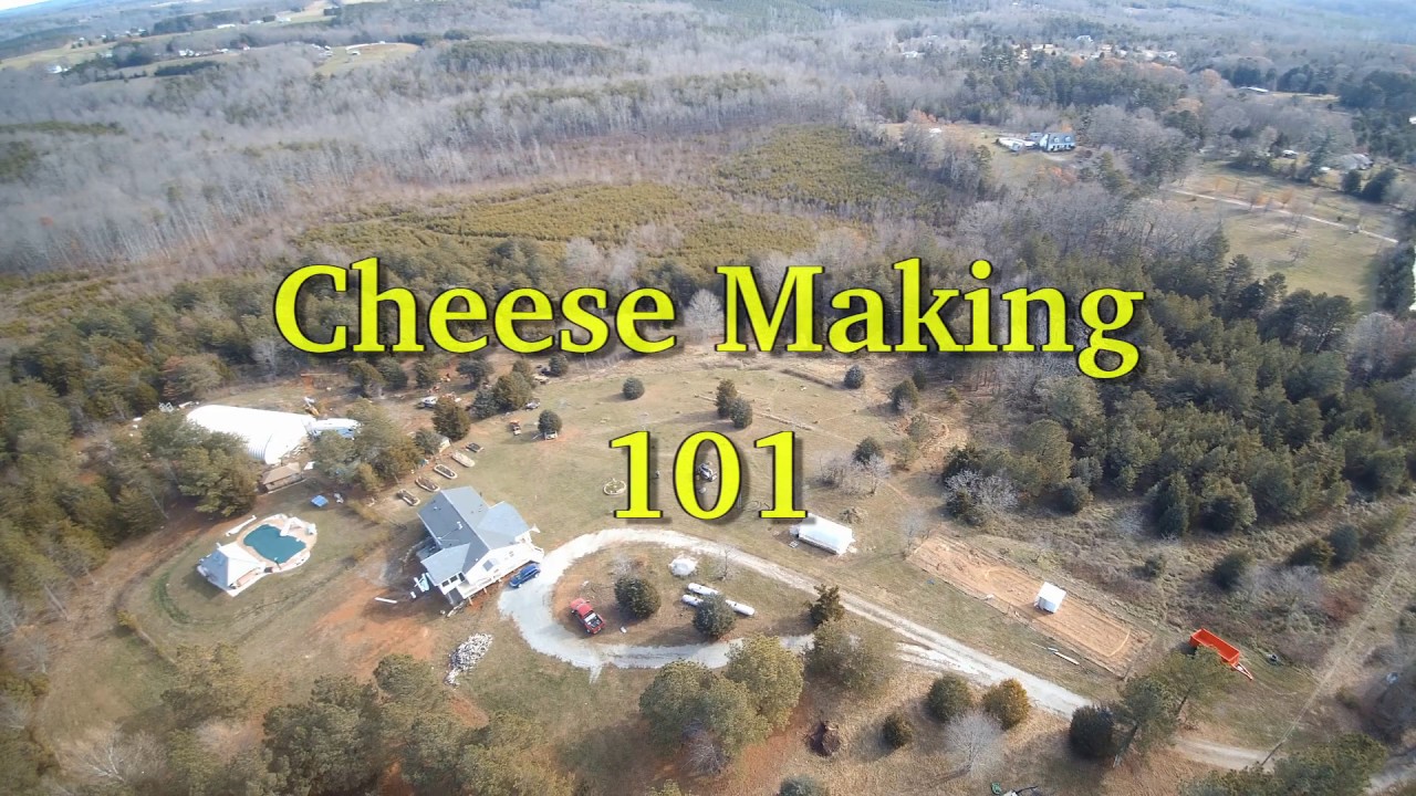 CheeseMaking 101