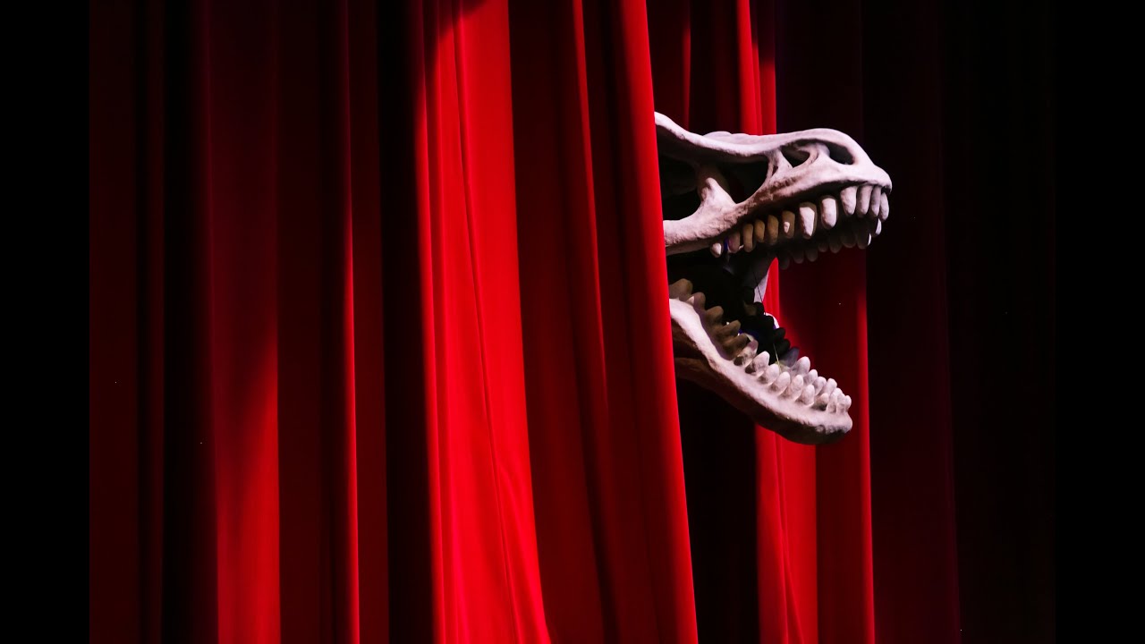 UMA NOITE NO MUSEU ✧ Espetáculo 2018 | OUT Escola de Dança