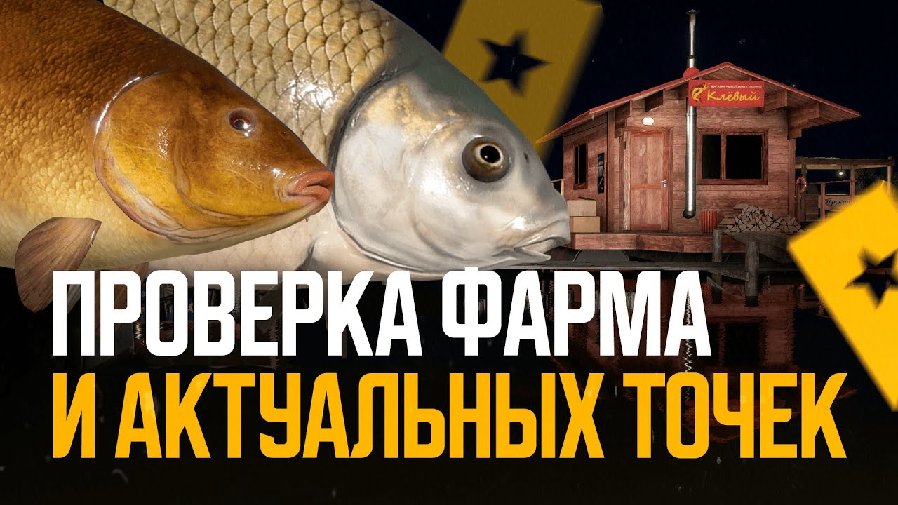 Проверка клёва на актуальных точках ● Русская рыбалка 4 ● Перчик РР4
