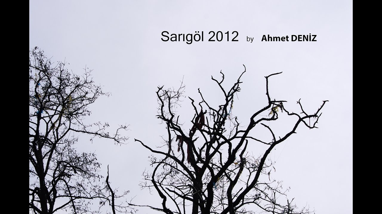 Sarıgöl 2012