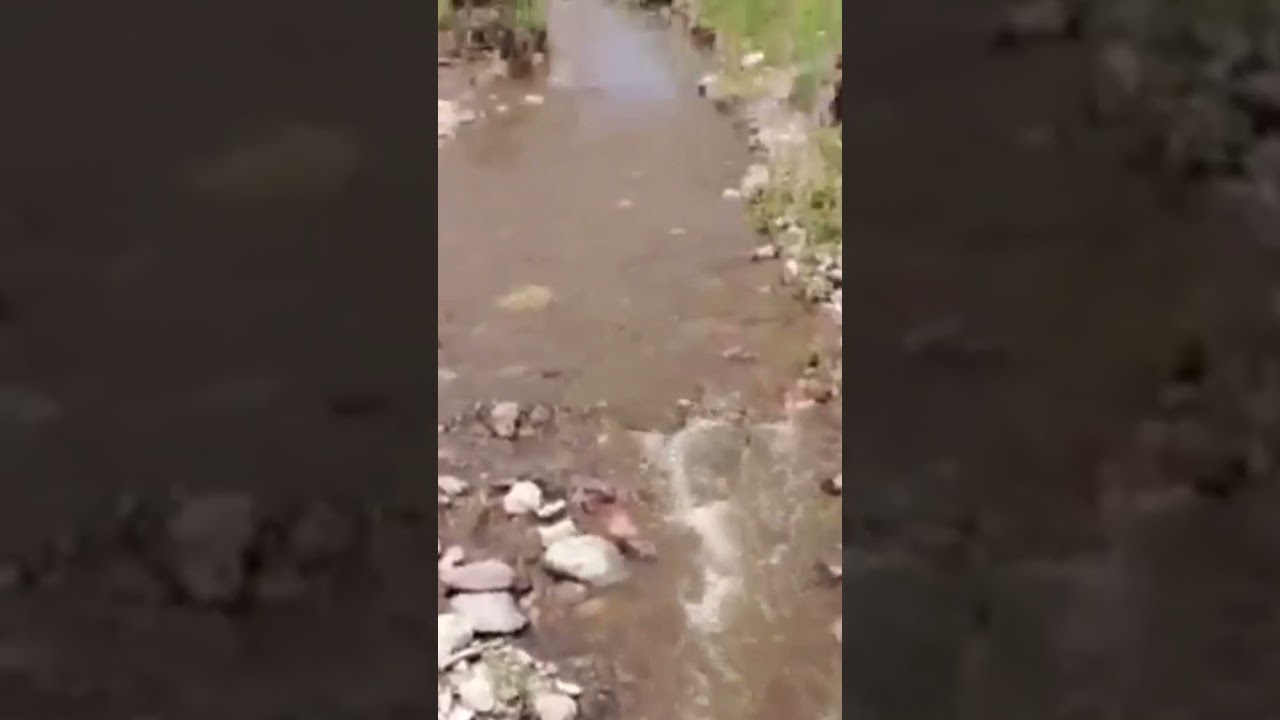 Ranchito #rancho #arroyo Arroyo, Suscribete