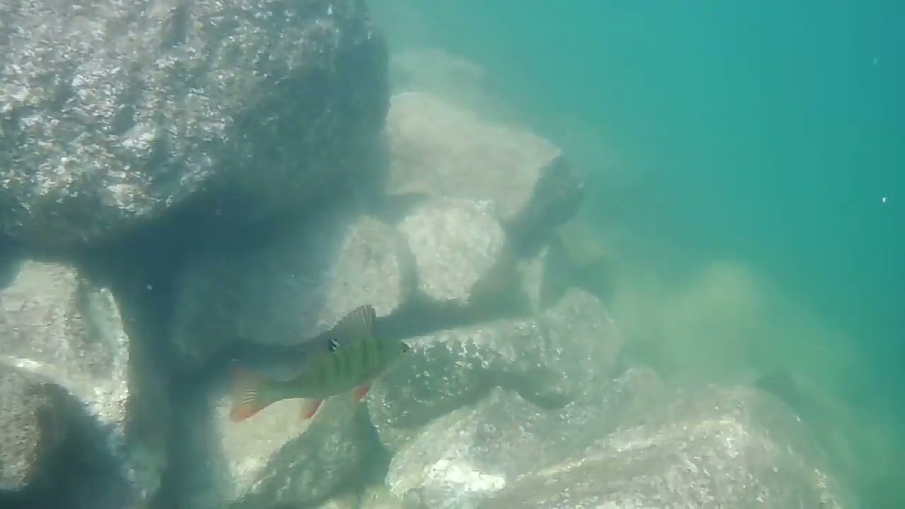Lac du corbeau 18/07/2022