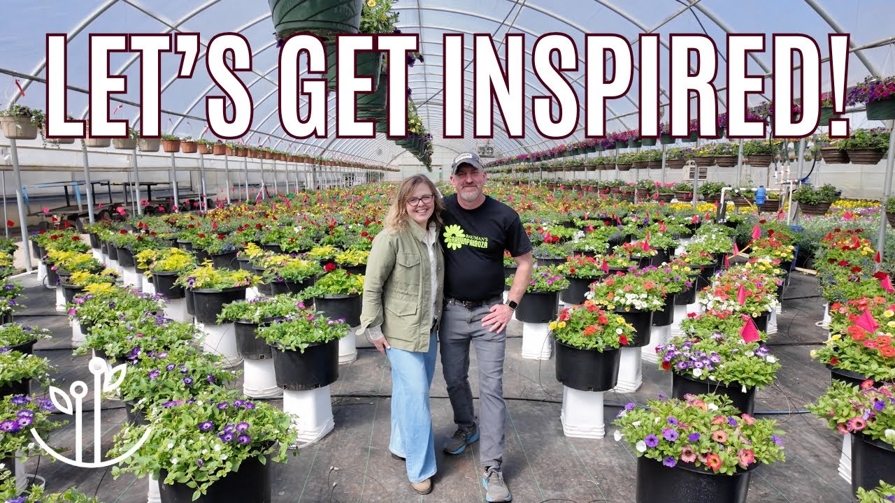 If You Need Inspiration for Incredible Summer Containers, This Video Is For YOU!🪴
