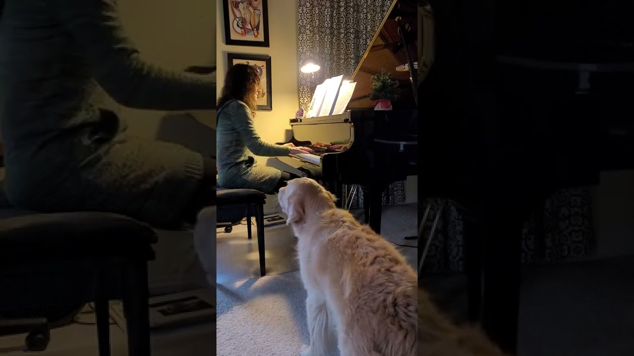The Christmas Waltz arr. Dan Coates