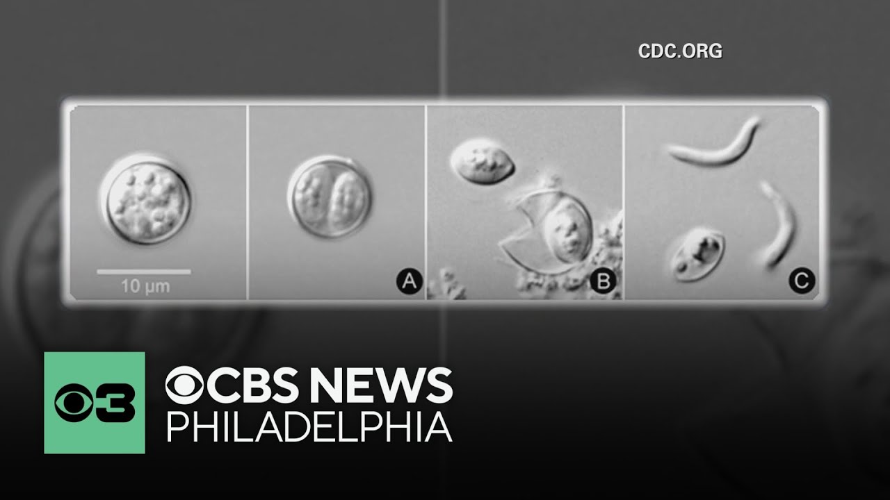 Stomach illness caused by parasite spreading to Pennsylvania and N.J., health officials warn