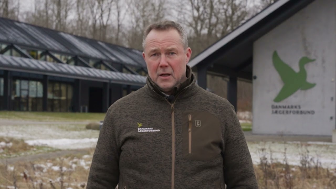 Det mener Danmarks Jægerforbund om: Sika på invasivlisten