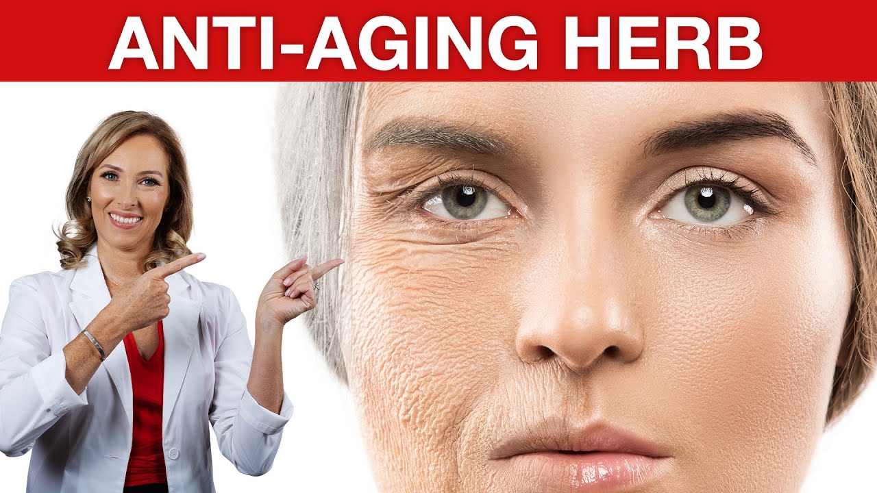 The Best Herbal Medicine for Longevity | Astragalus | Dr. Janine