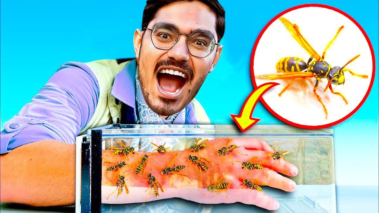 Dangerous Bee Hive Exploration Adventure🥵  मधुमक्खियों ने किया खतरनाक हमला   Do Not Try