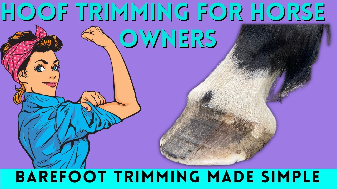 How To Trim Horse Hooves: Barefoot Hoof Trimming For Beginners