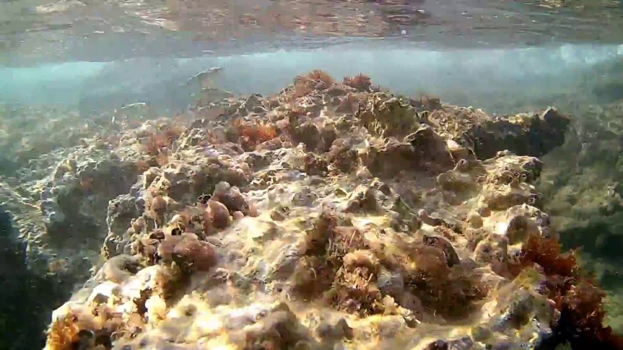 Potos snorkeling Thassos ☼ WOW!