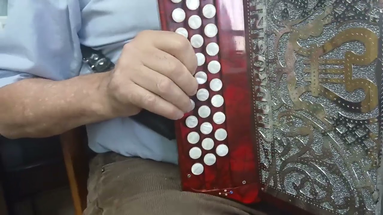Concertina 