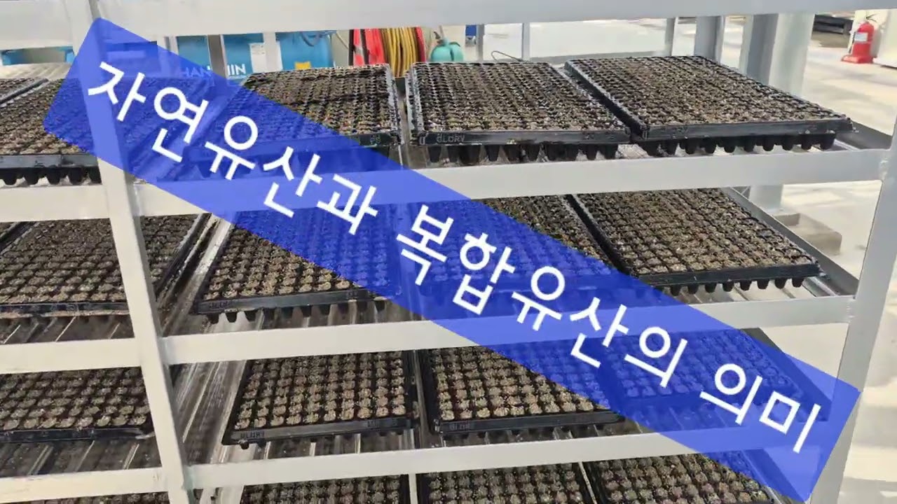 씨앗을 심는 것은 숲과 문화를 심는 것이다 #산림문화 #씨앗 #자연유산#문화유산#복합유산 