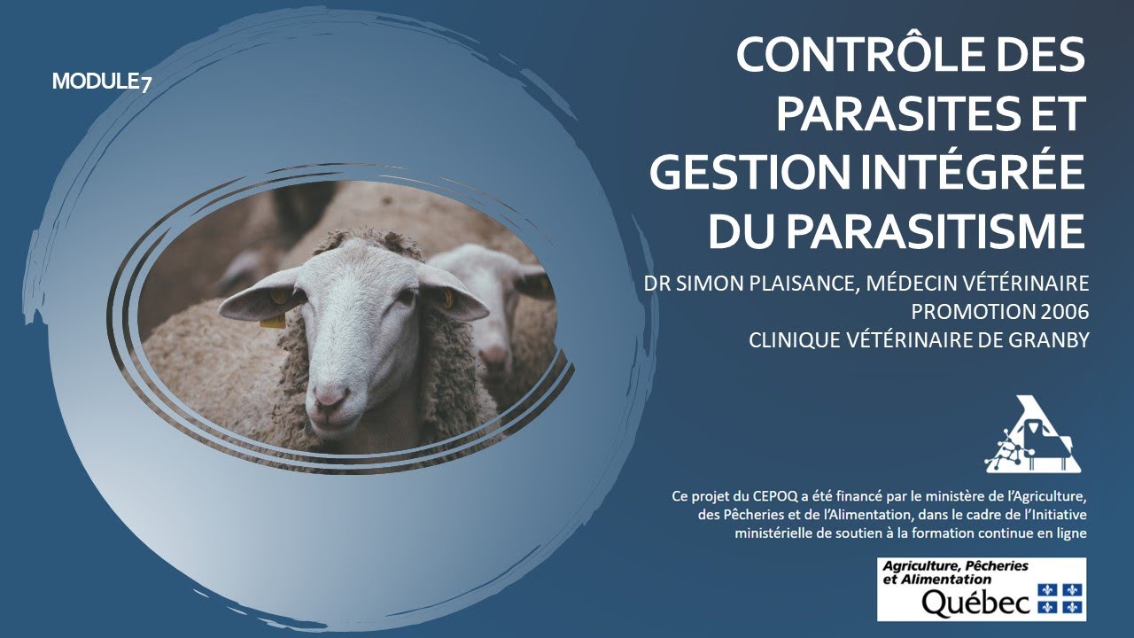 Formation en santé ovine - Contrôle des parasites et gestion intégrée du parasitisme (Module 7)