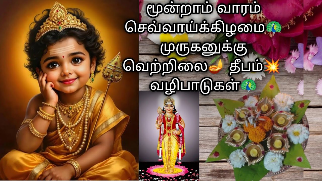 மூன்றாம் வாரம் முருகனுக்கு வெற்றிலை🪔 தீபம்💥வழிபாடுகள்#muruganvibe#vetrilaideepam#trending