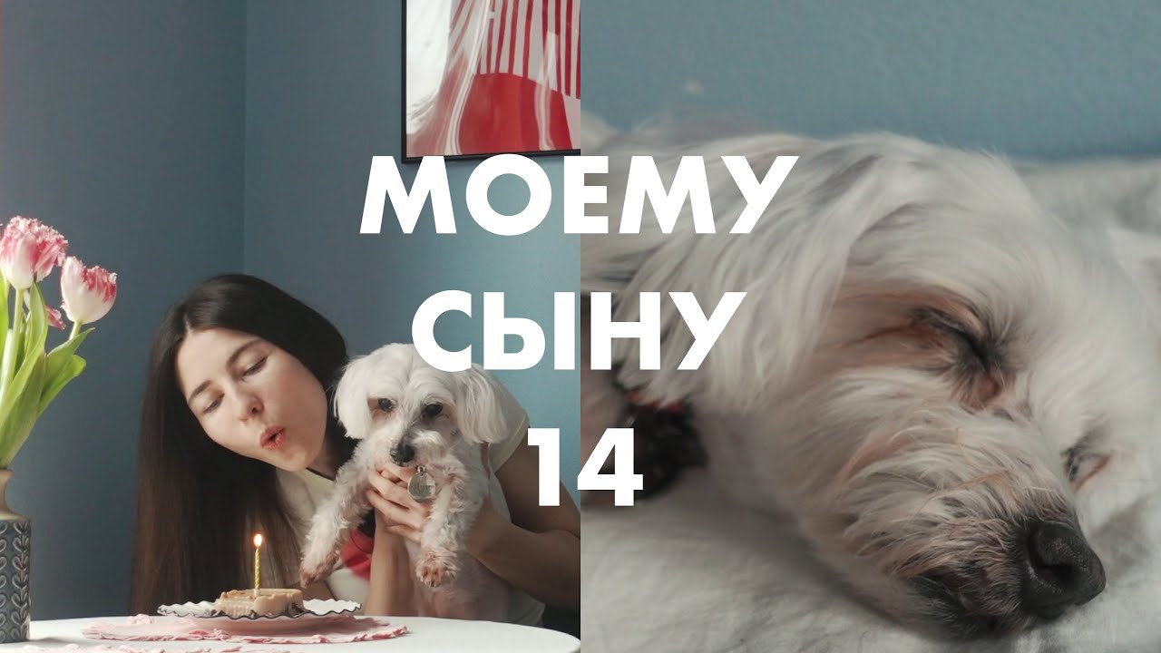 КАК Я УСЫНОВИЛА ЛУЧШЕГО ПСА | НАША ИСТОРИЯ