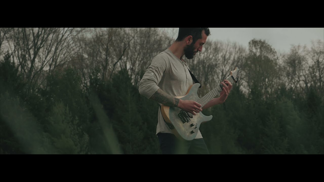 Sentira - Assimilate