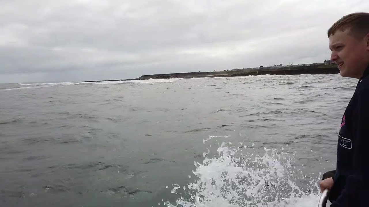 farne island boat trip
