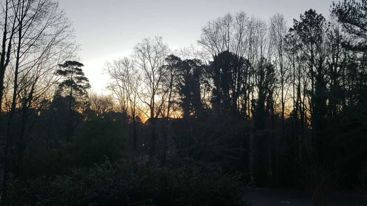 Feb 8, 2026. Good morning. Chilly morning. Clear sky. Birds chirp. Beautiful start.