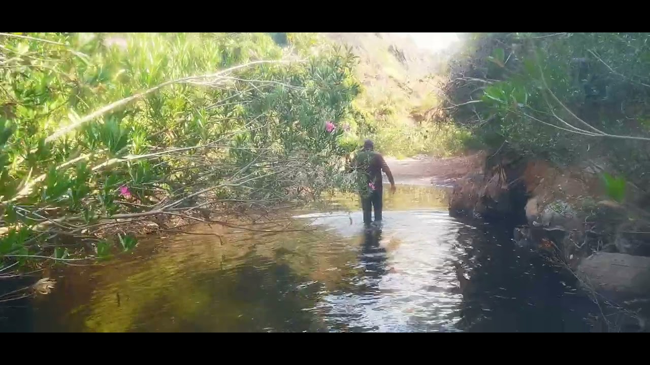 LA VIGUERA Y CHORRITO 2025