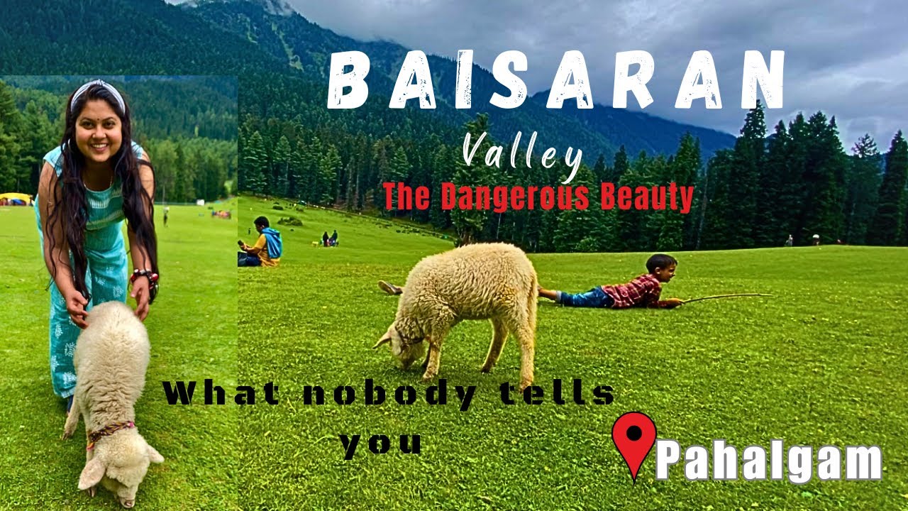 Baisaran Valley Pahalgam | Why you should avoid going to Baisaran