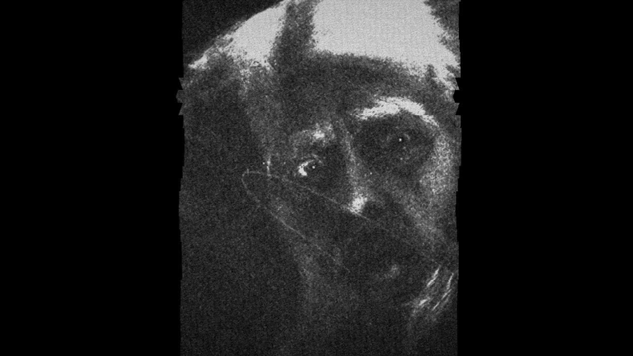 NECROCYBER BARD - AUTO-INDUCED NEURAL CORRUPTION | Experimental Noise Synth | (Non-AI)