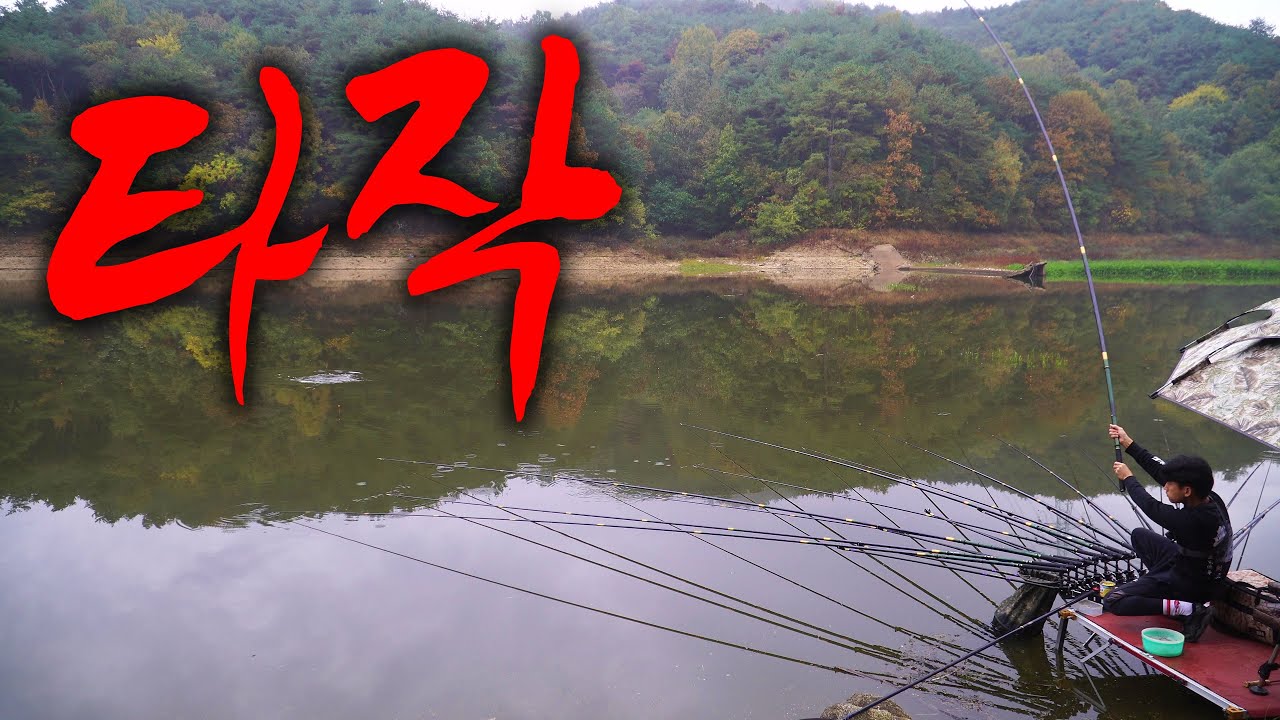 고기 씨를 말리네! 누가 이 사람 신고 좀~ 가을 붕어 다 잡는다!