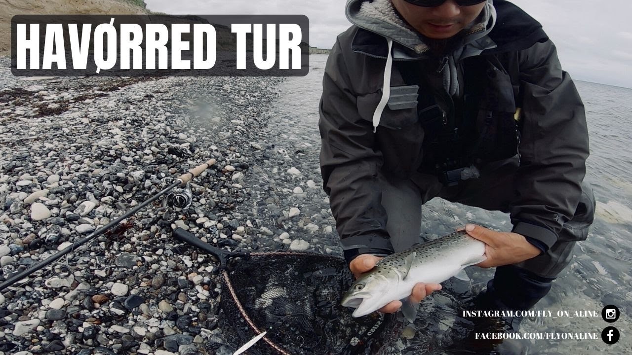 Havørred tur | Djursland