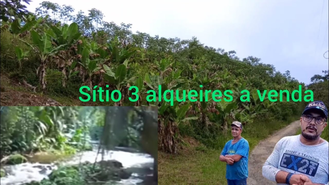 sítio a venda 3 alqueires todo com bananas só limpa e mil pés de pupunha