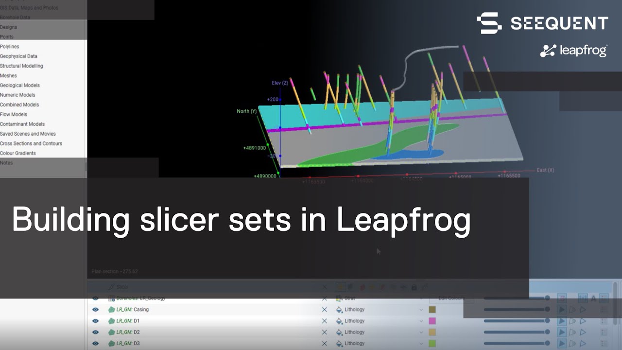 Building slicer sets in Leapfrog