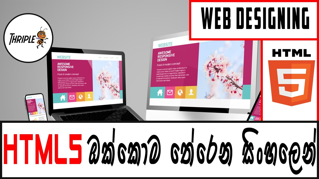 HTML & CSS Web Designing 01 - HTML5 Complete Course - Sinhala