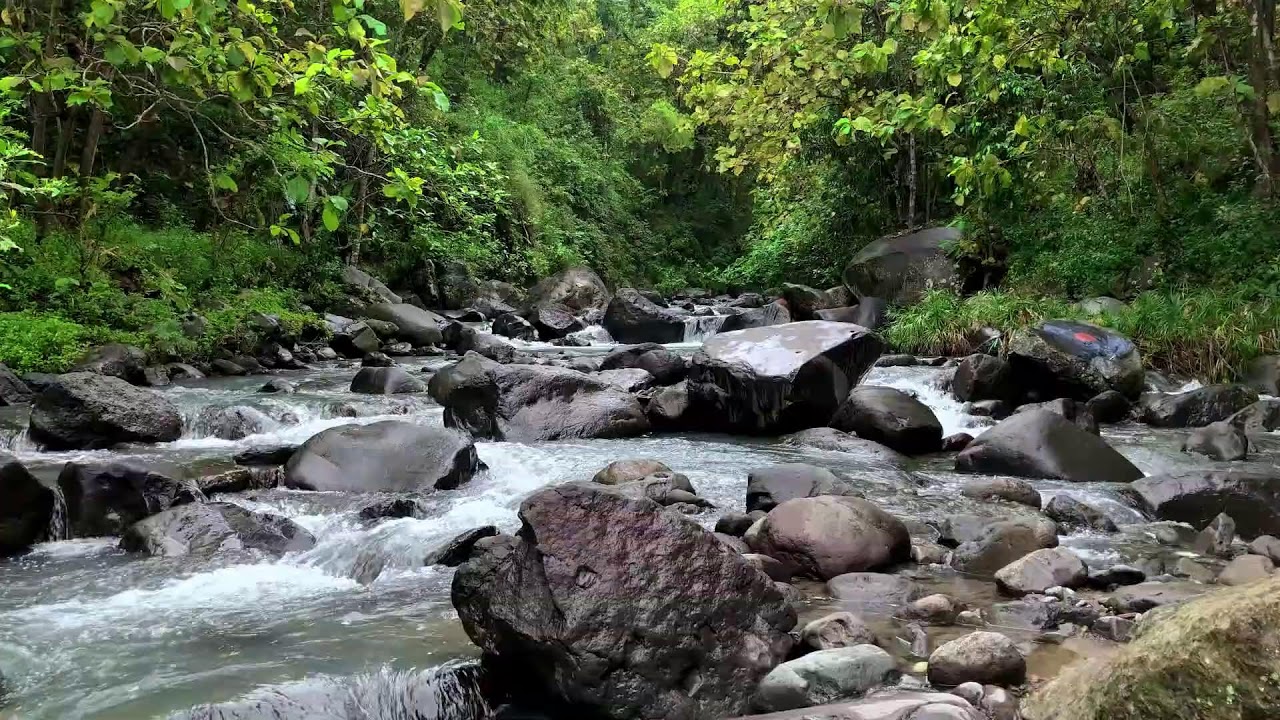 Peaceful river relaxation beneath relaxing twilight trees giving deeper deep sleep and emotional eas