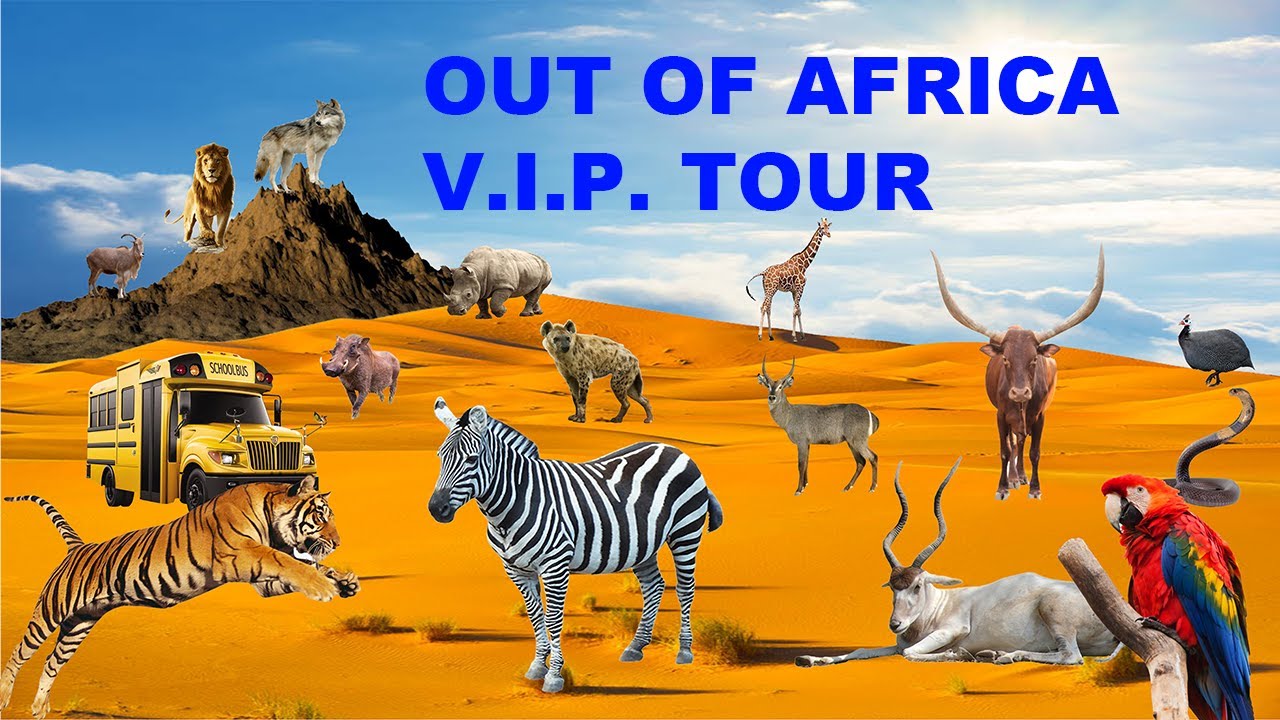 (800 subscriber special) Uncaged Zoo Tours: Out of Africa VIP Tour #outofafricawildlifepark