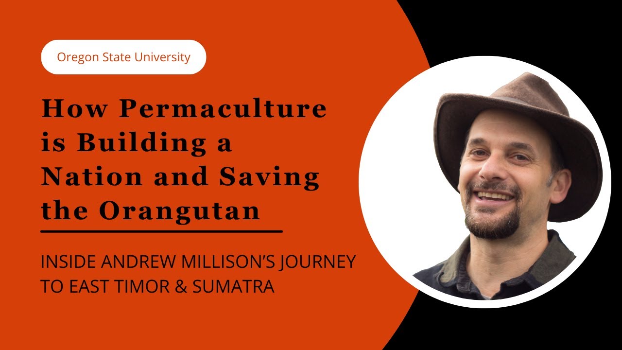 How Permaculture is Building a Nation and Saving the Orangutan