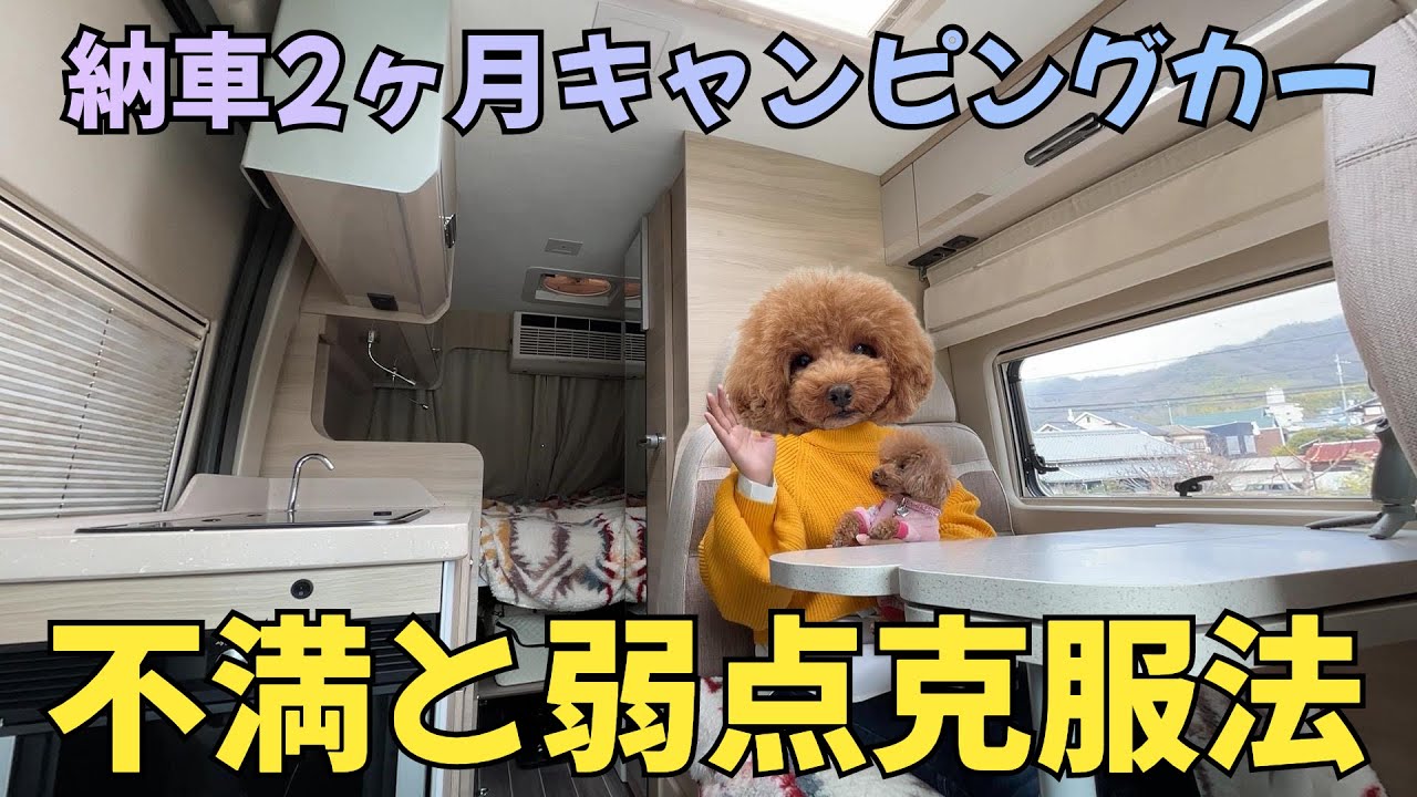【輸入車のデメリット】納車2カ月の新車フィアットデュカトベースキャンピングカー【不満と改善６選】ローラーチーム リビングストーンK2