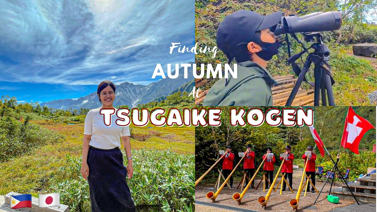 Finding Autumn at Tsugaike Kogen Hakuba Japan|Hike and enjoy the view of summit+gondola ropeway ride