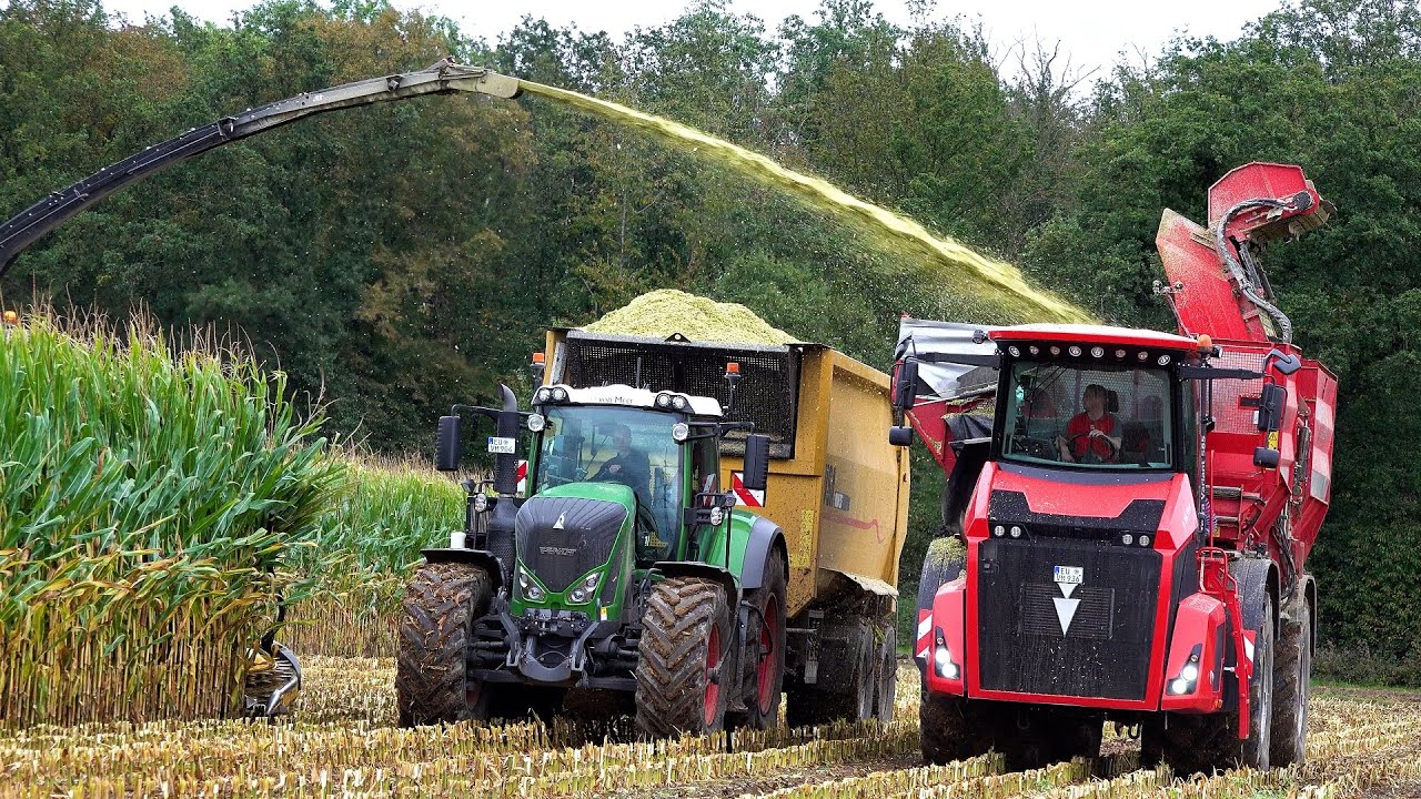 Maïs 2024 : New Holland FR920 | Von Meer | Holmer Terra | Maisernte | Scania | Mais harvest | Fendt