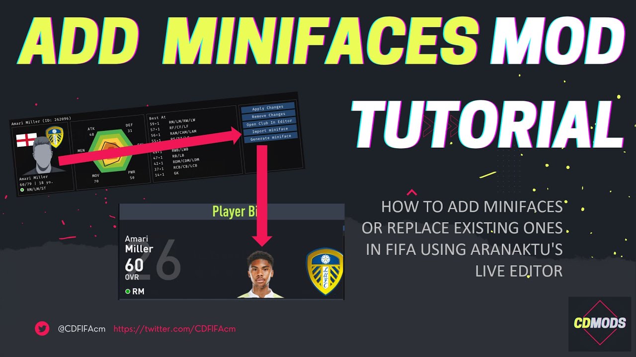 Adding Custom Minifaces to FIFA Tutorial