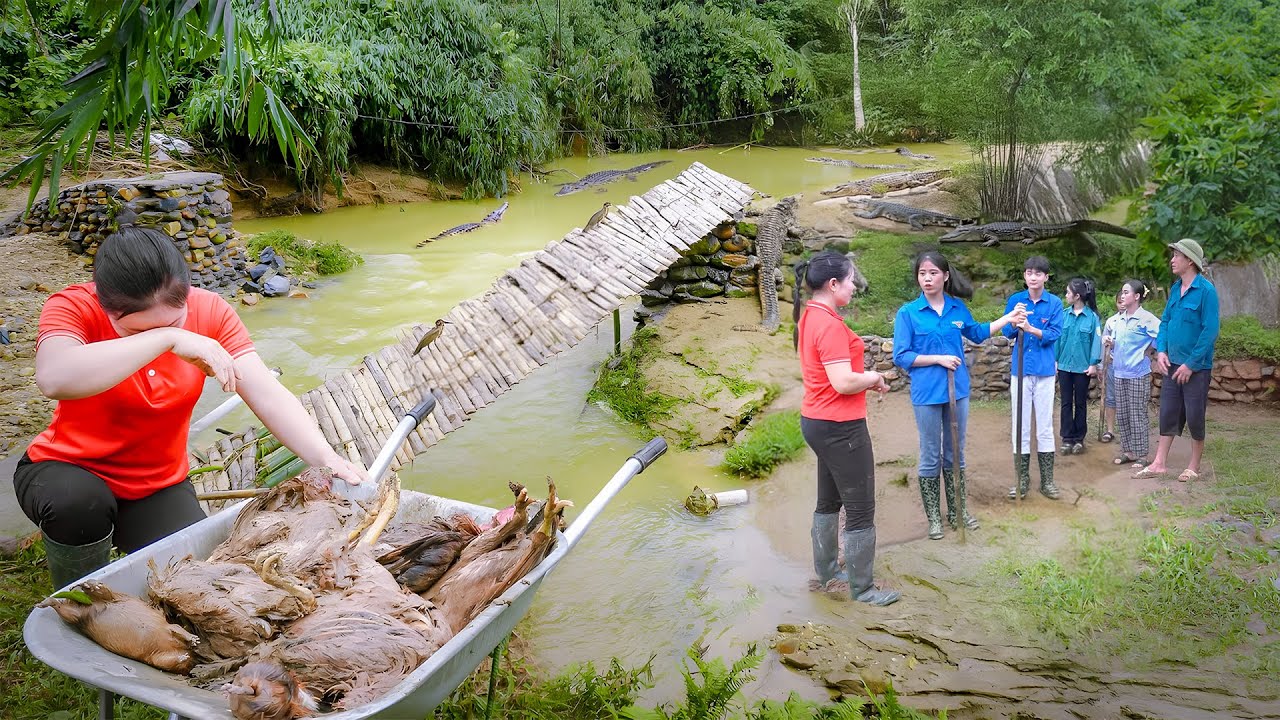 Heavy Floods Destroy Farm And The Newly Built Bridge - Villagers Came To Help Restore The Farm