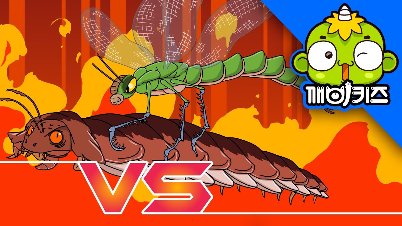 아르트로프레우라 vs 메가네우라 | 공룡배틀 | 공룡만화 | Dinosaurs Battle | 육식공룡 | 깨비키즈 KEBIKIDS