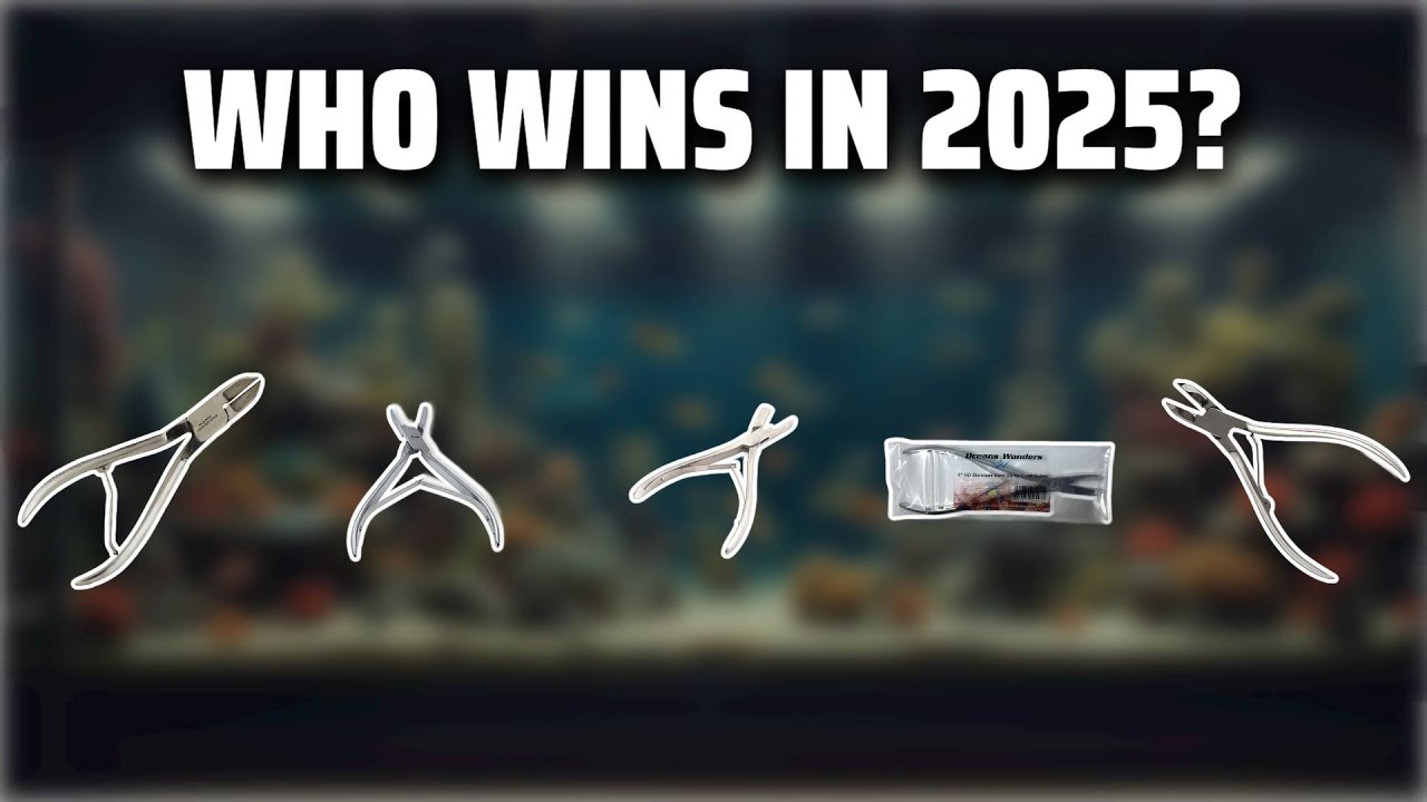 The Top 5 Best Coral Cutter in 2025 - Must Watch Before Buying!