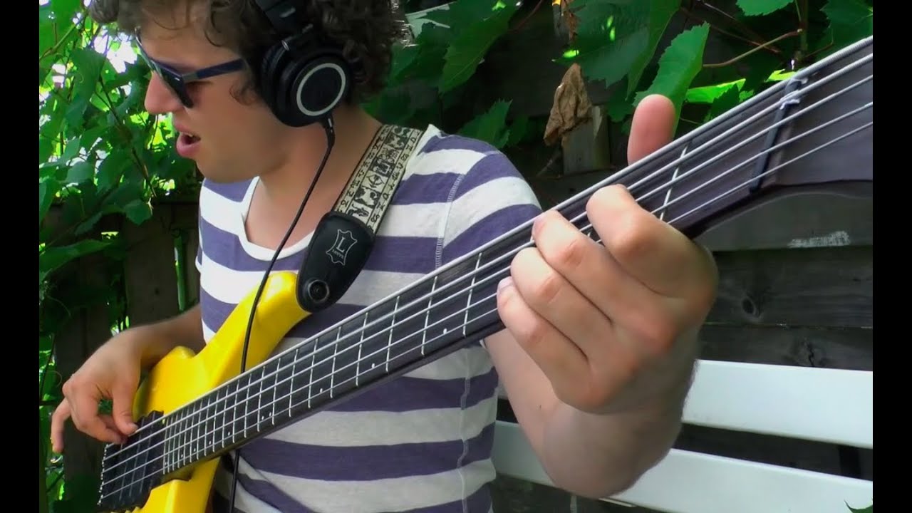 Plini - Every Piece Matters (Bass cover by Werner Erkelens)