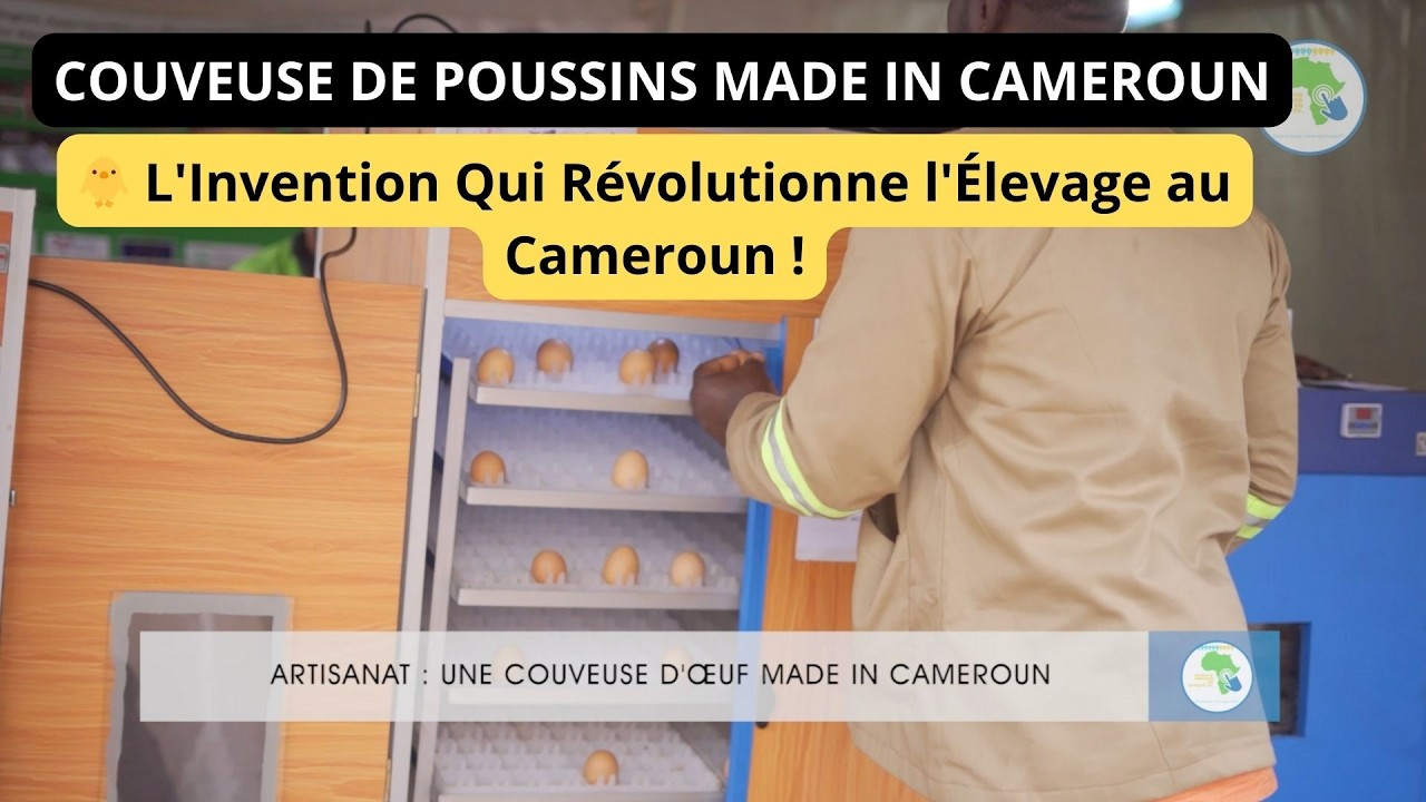 Innovation incroyable au Cameroun, les couveuses électriques pour poussins